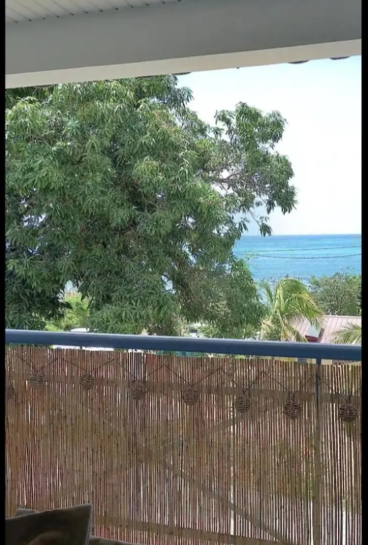 L'Appartement De La Plage Le Diamant Apartment